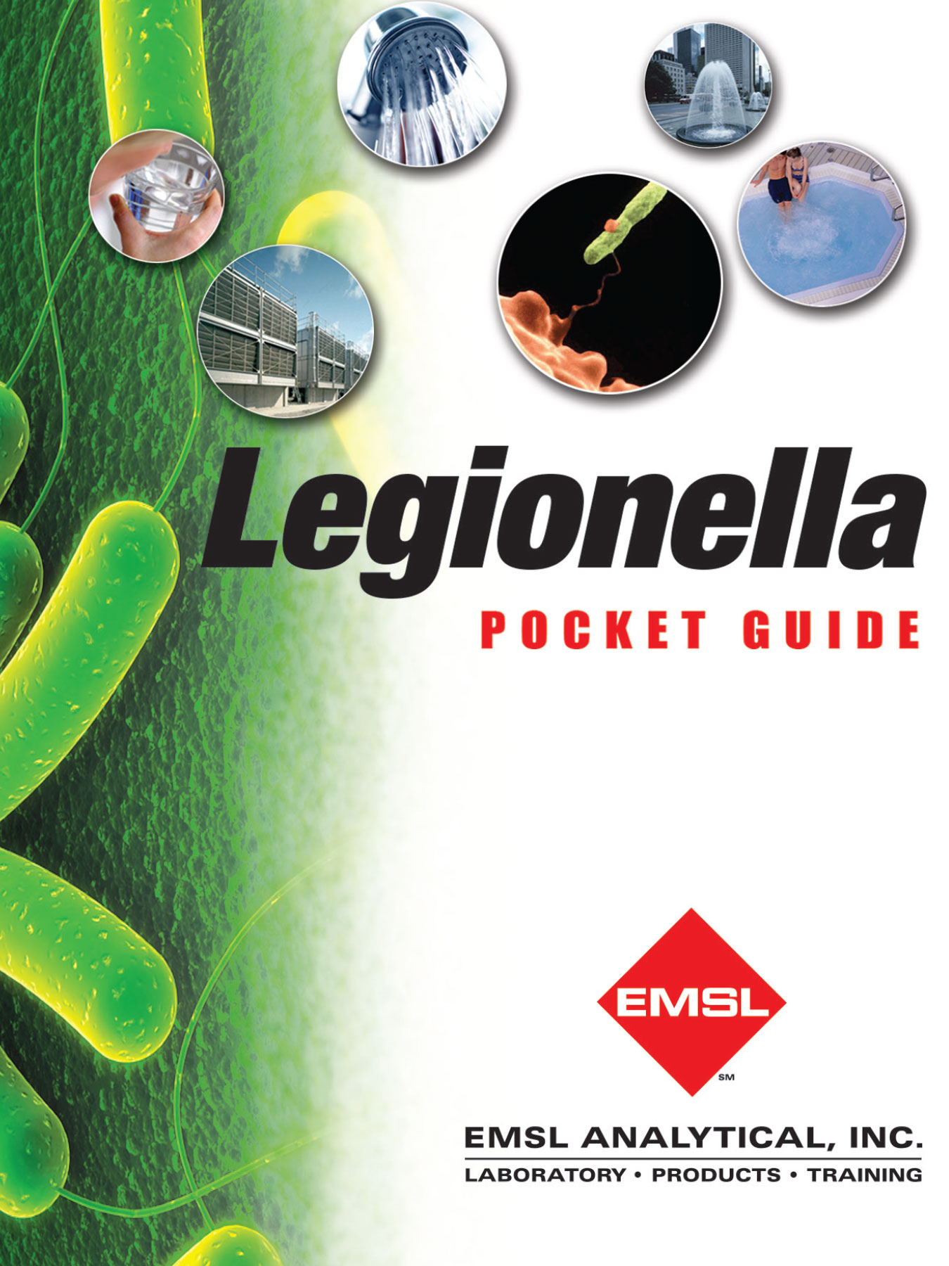 Legionella