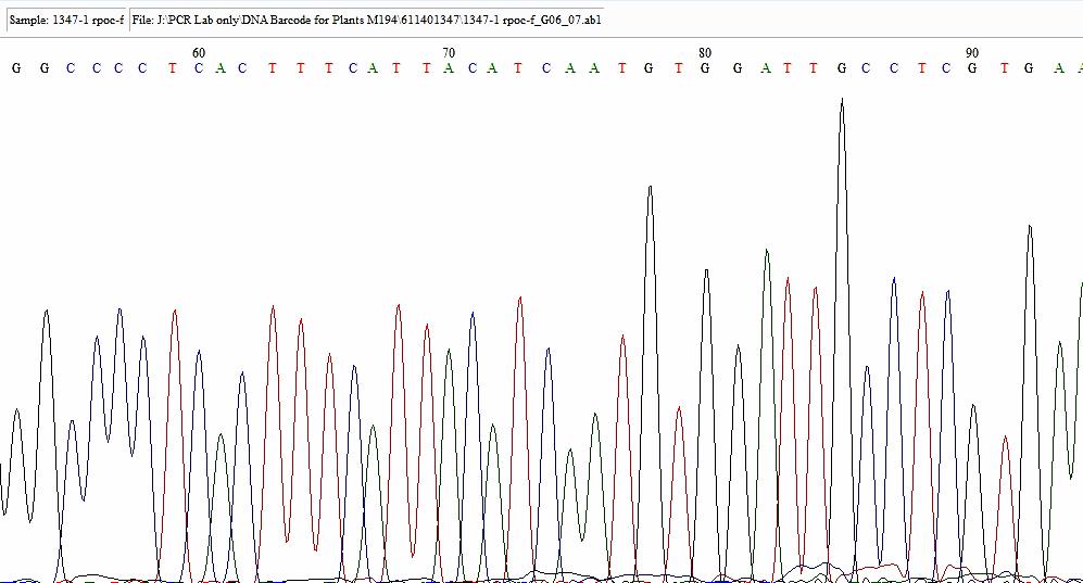 Wood Sample Data